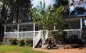 Wattle Tree Cottage - Bridgewater